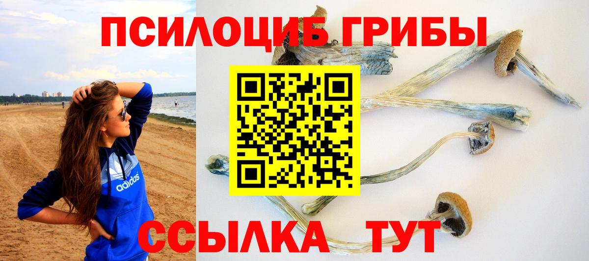 Галлюциногенные грибы мухоморы  Вход с VPN  Среднеуральск 