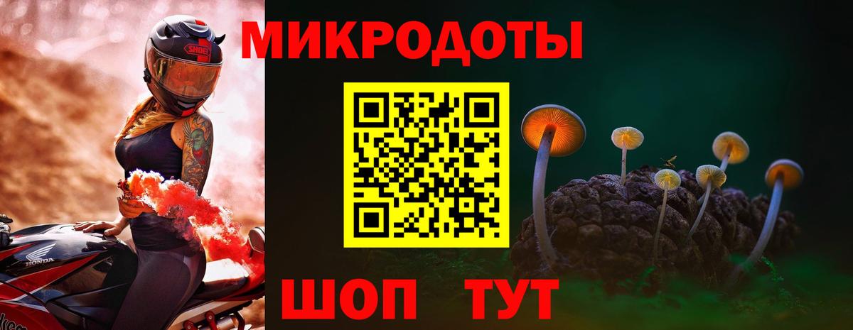 Псилоцибиновые грибы Cubensis Среднеуральск